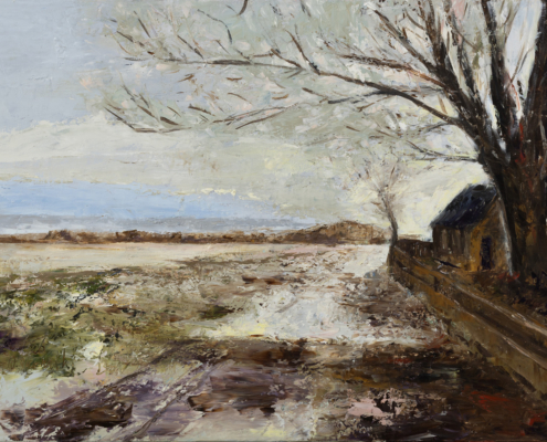 Winter landschap