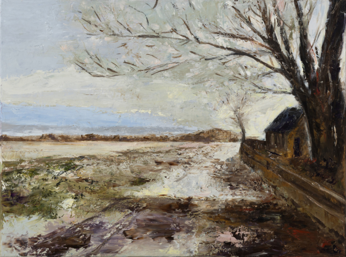 Winter landschap