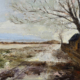 Winter landschap