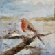 Roodborstje, Annemiki Bok